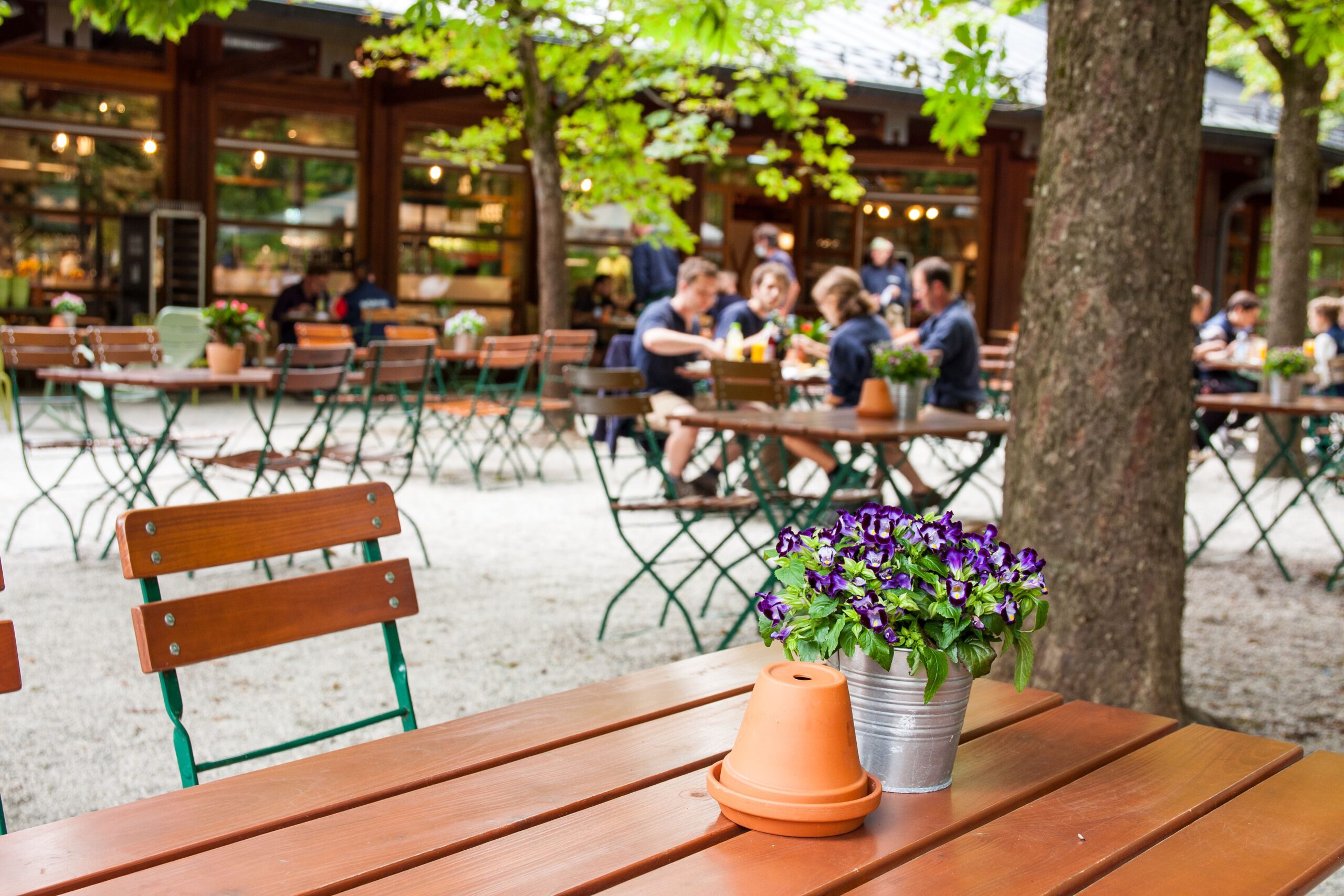Marché Restaurant Tierpark Hellabrunn Außenbereich mit Blume auf Tisch