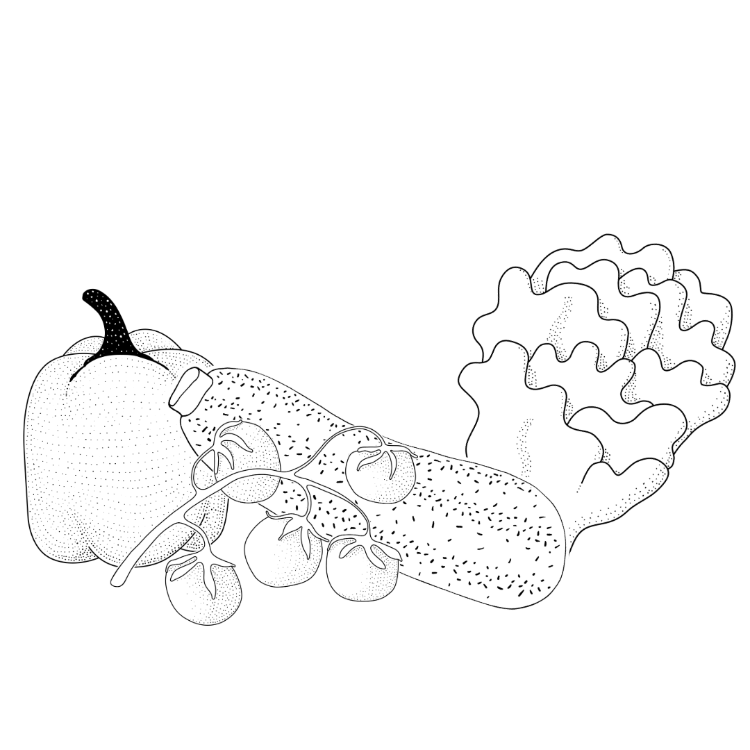 Gemüse_Illustrationen Gemüse Illustrationen von Paprika, Tomaten, Zucchini und Salat