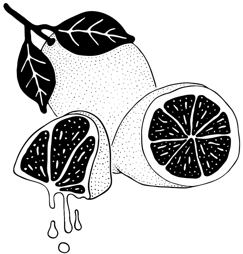 Illustration_Zitronen Illustration von Zitronen, eine ganze Zitrone, eine aufgeschnittene Zitrone und eine zerdrückte Zitrone aus der der Saft rausläuft