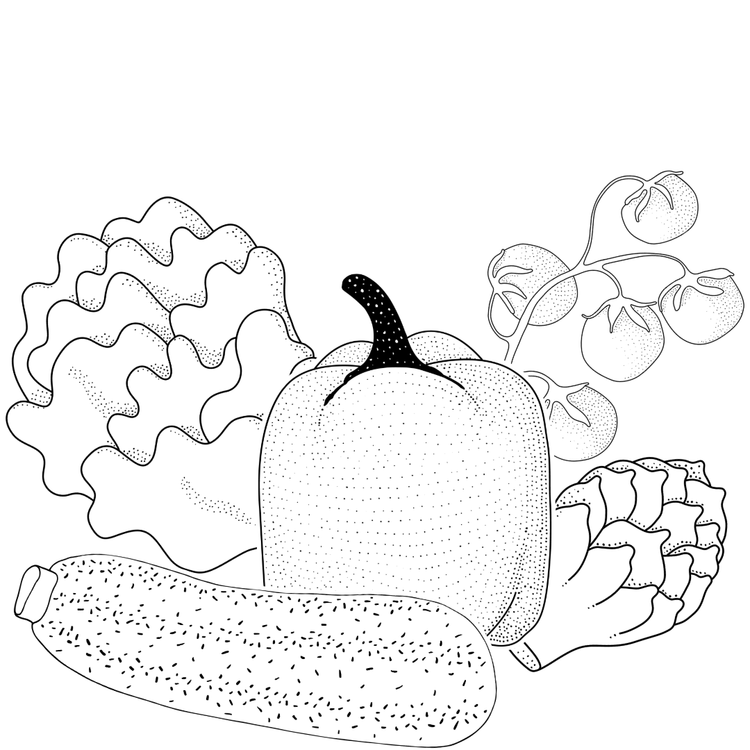 Illustration_Veggy_Island Gemüse Illustration zur Veggy Island