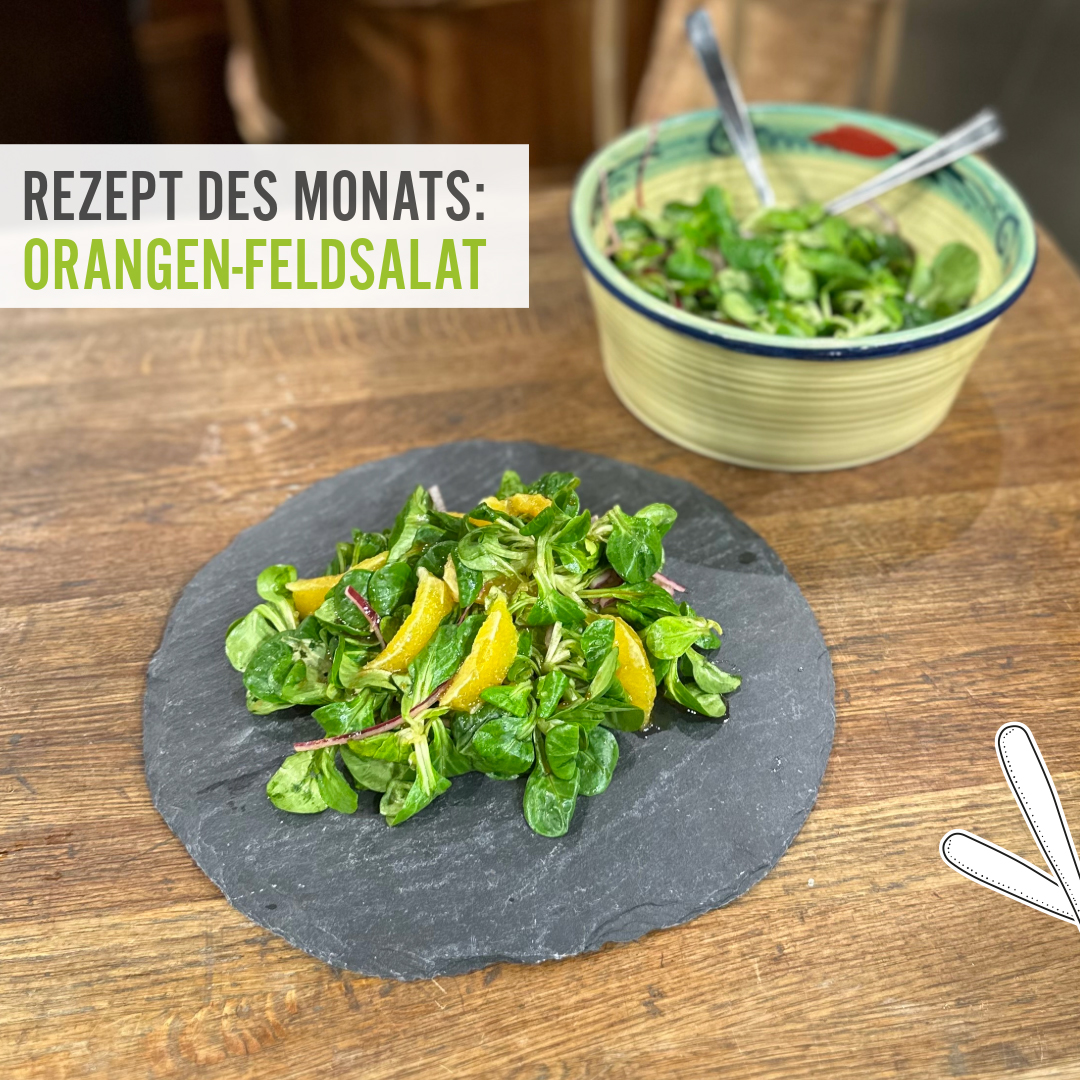 Rezept des Monats Februar Orangen-Feldsalat