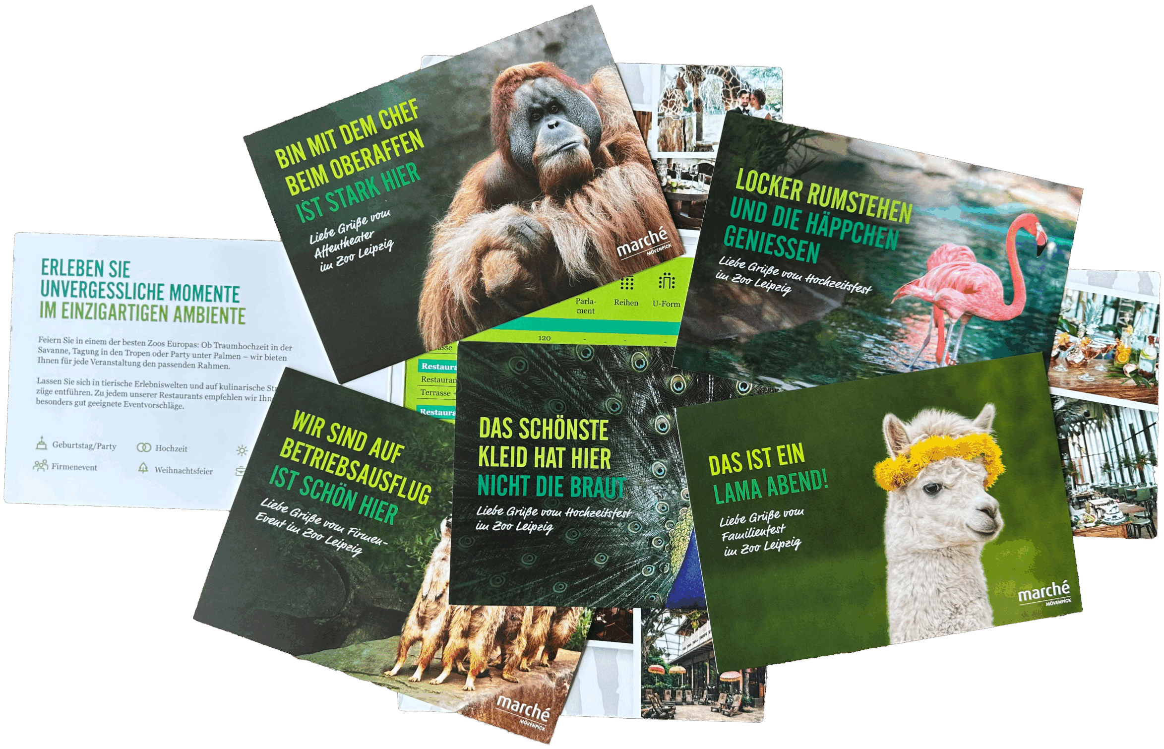 Event Postkarten Set